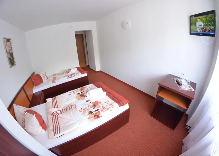 ホテル Le Baron ティミショアラ