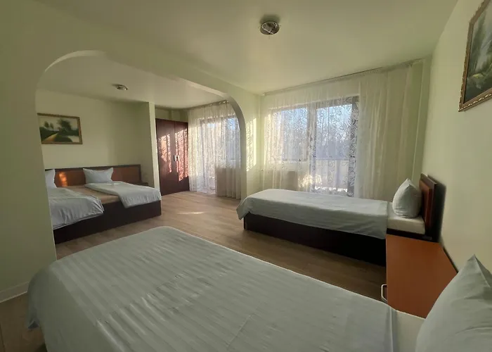 Le Baron ホテル ティミショアラ