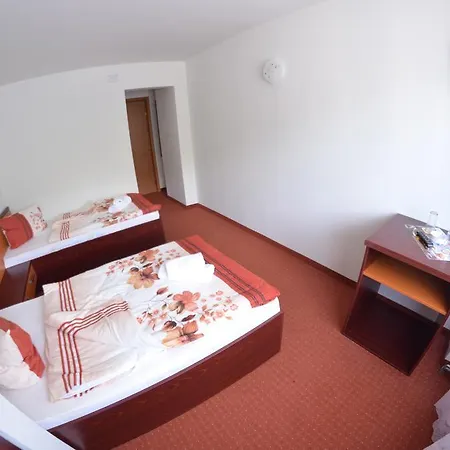 מלון Le Baron טימישוארה